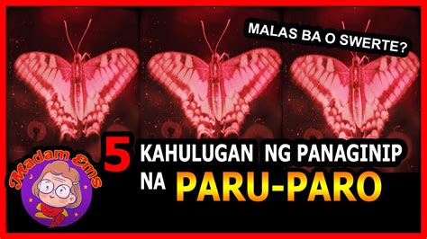 numero ng paro paro|7 Kahulugan ng Paru paro sa Panaginip .